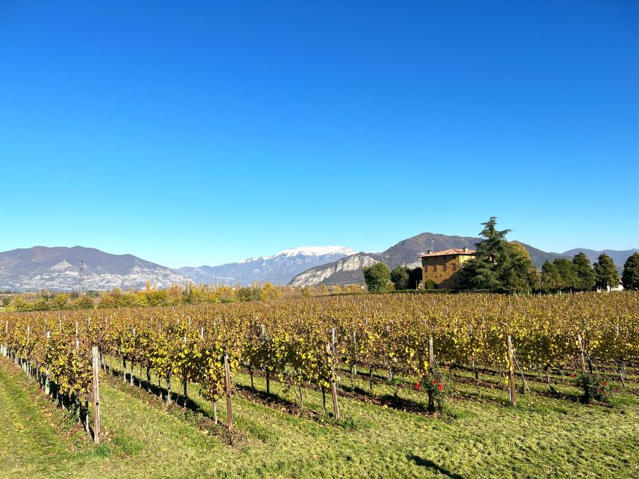 Ice Building in Franciacorta