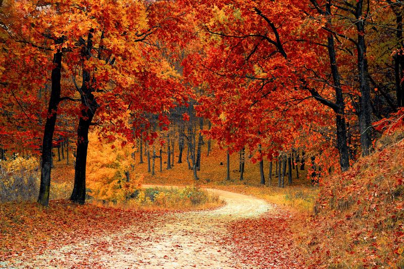 Top autumn incentive travel destinations