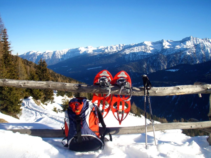 Team Building Snowshoes