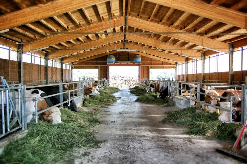 Farm Building